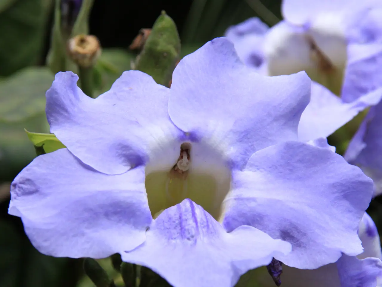 Top Strategies for Kickstarting Your Daily Routine