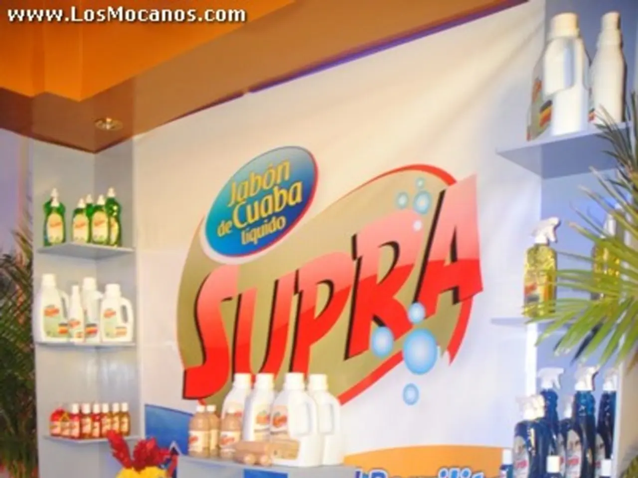 Developing a Unique Brand Persona in 5 Straightforward Methods