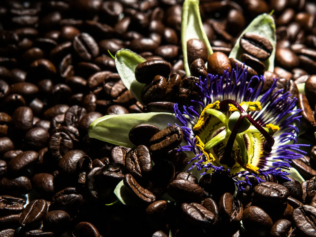 Indigenous Coffee Growers Unleash Life in Barangay Tibolo