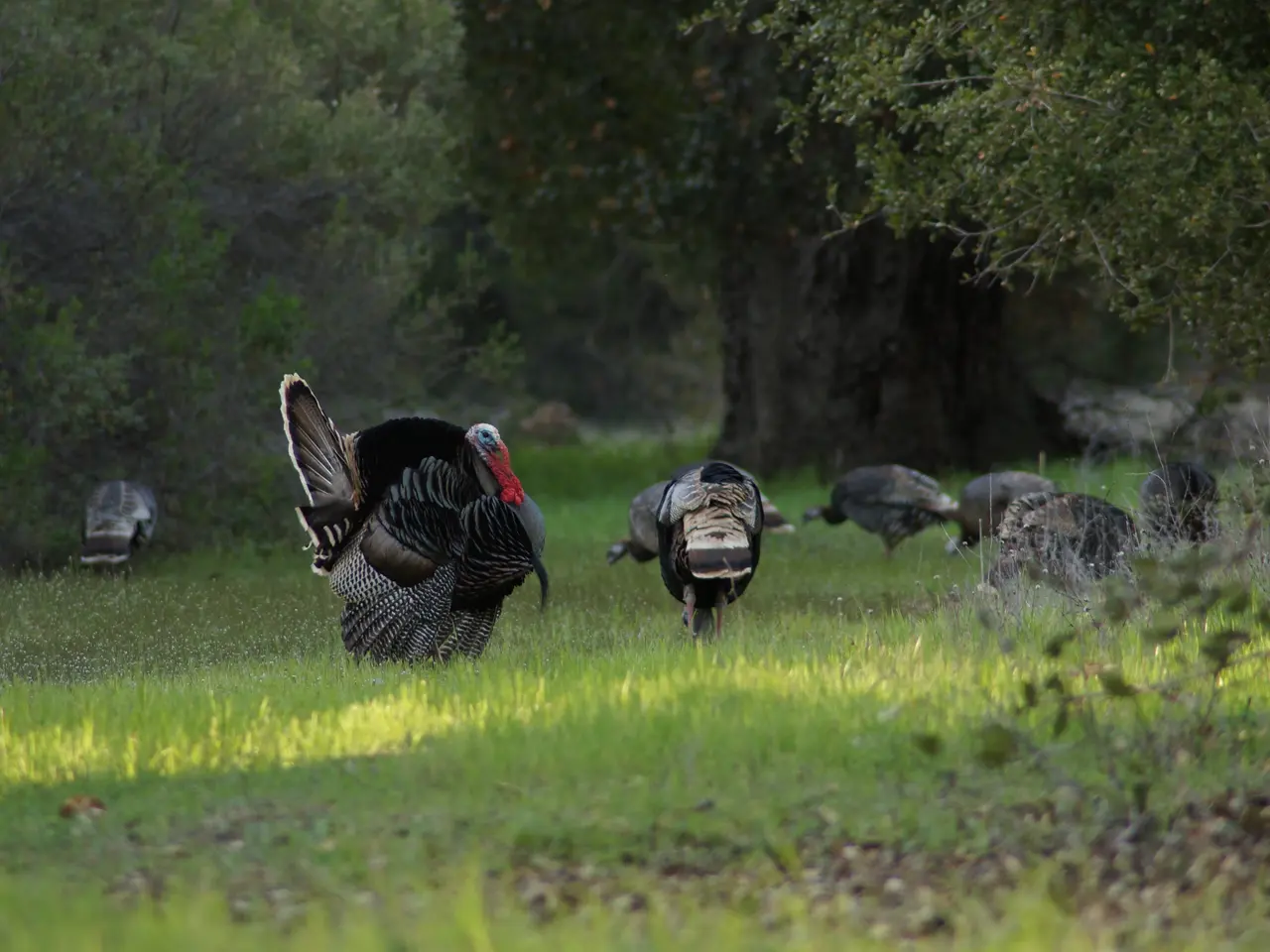 Turkey's cultural landmarks and museums witness an increase in tourists