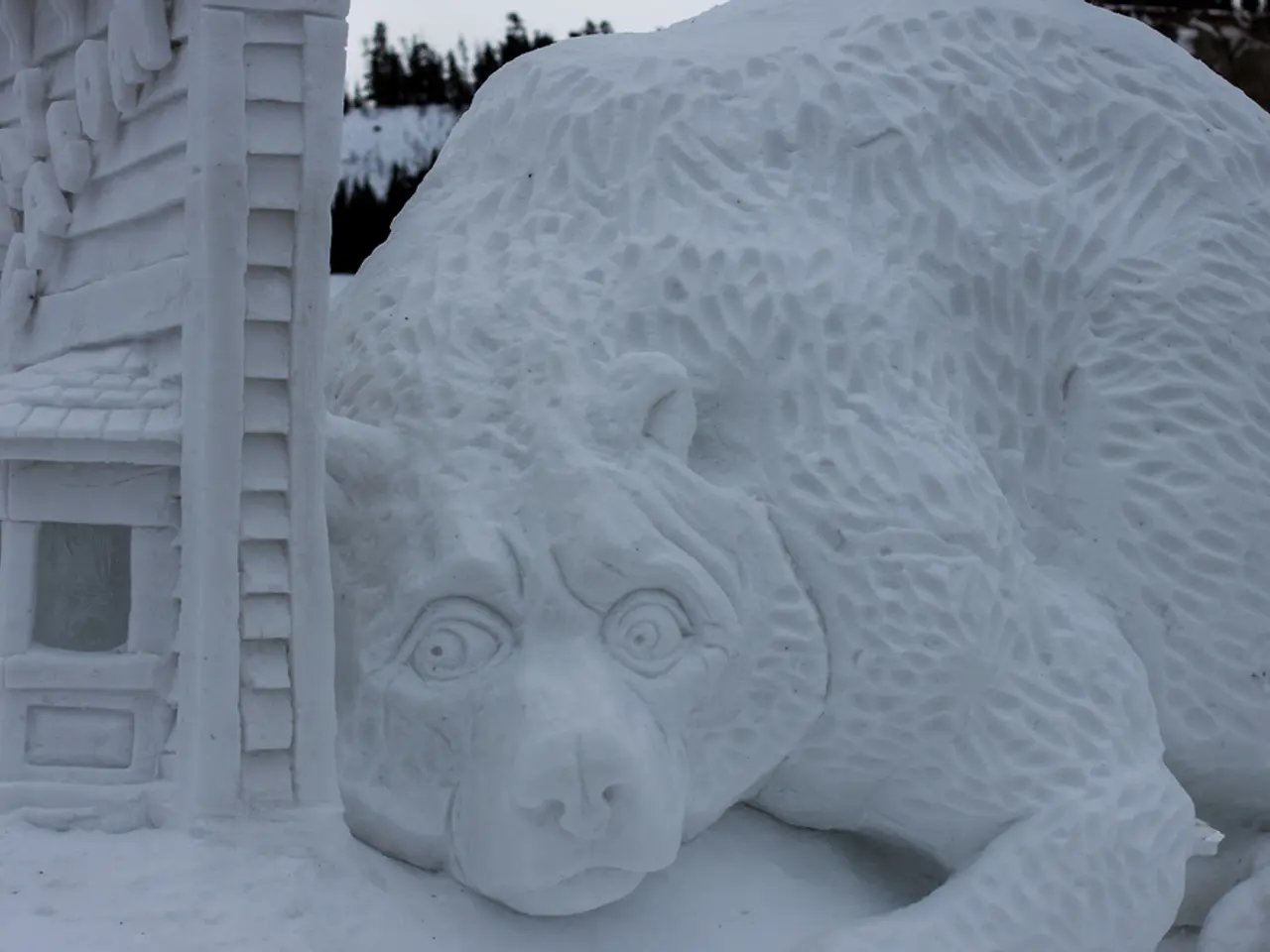 In this image, we can see snow art. Background there are few trees and sky.