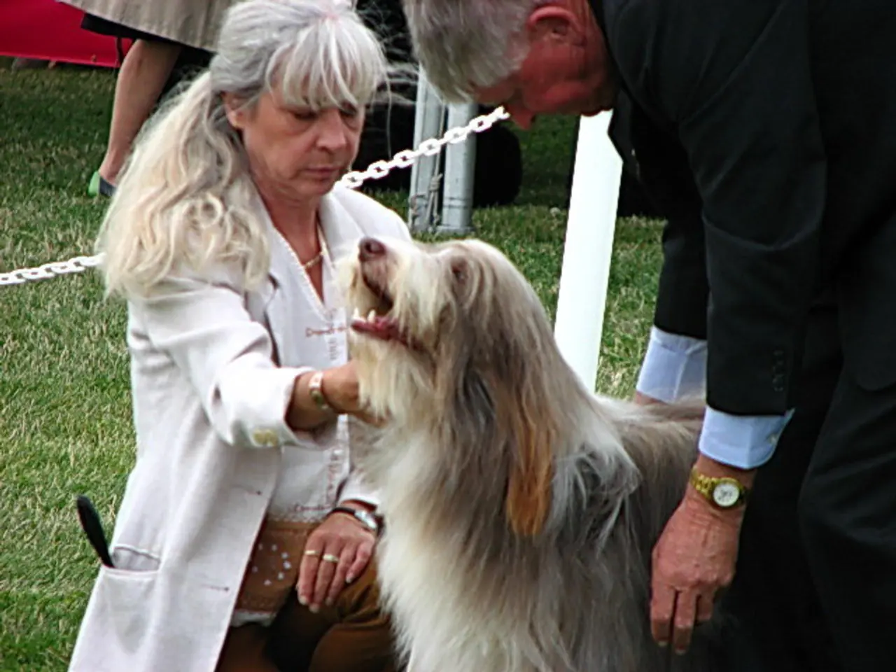 This woman wore white jacket and holding his dog. Backside of this dog a person is standing and...