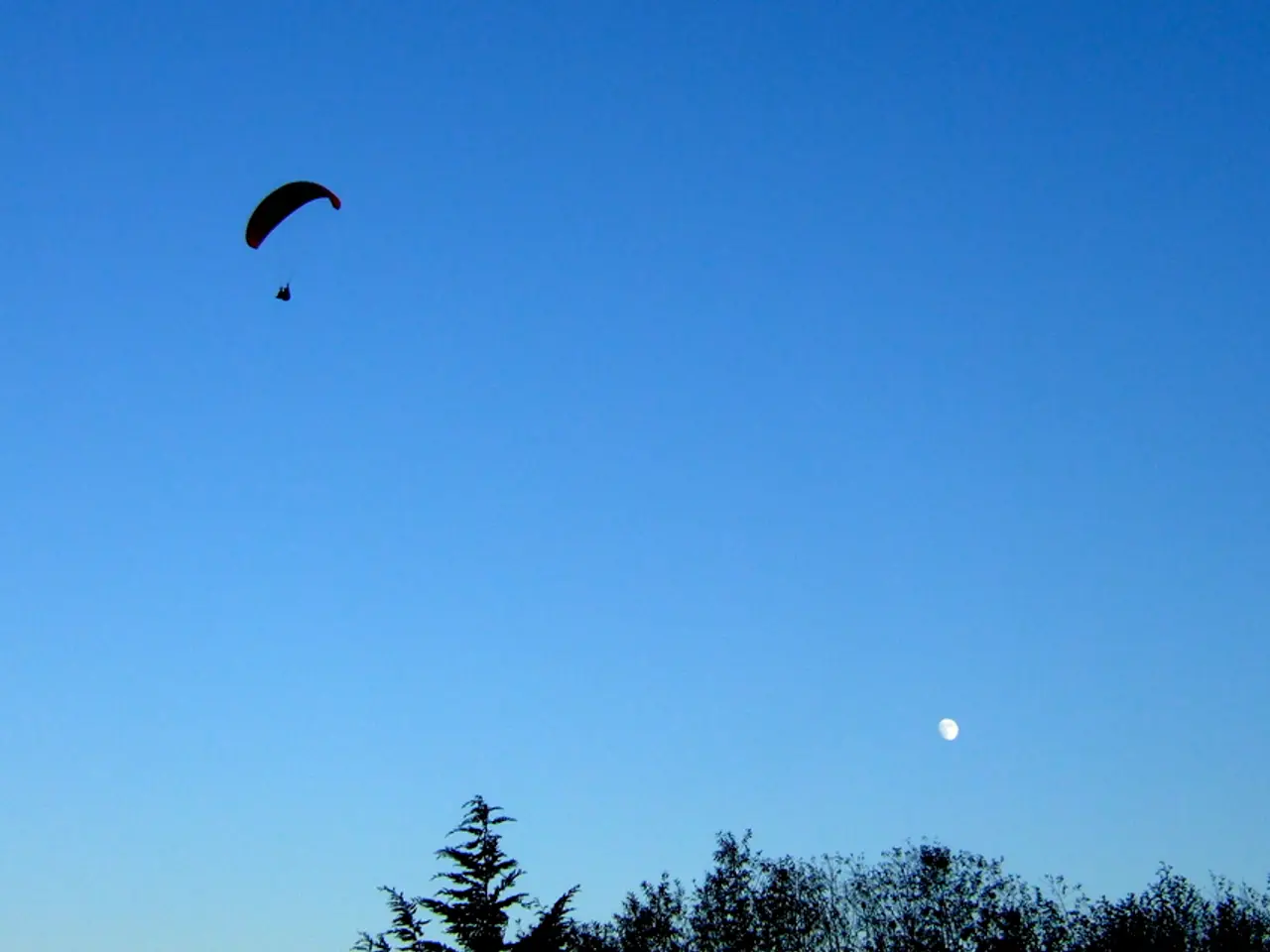In this image in front there are trees and we can see there is a person paragliding. In the...