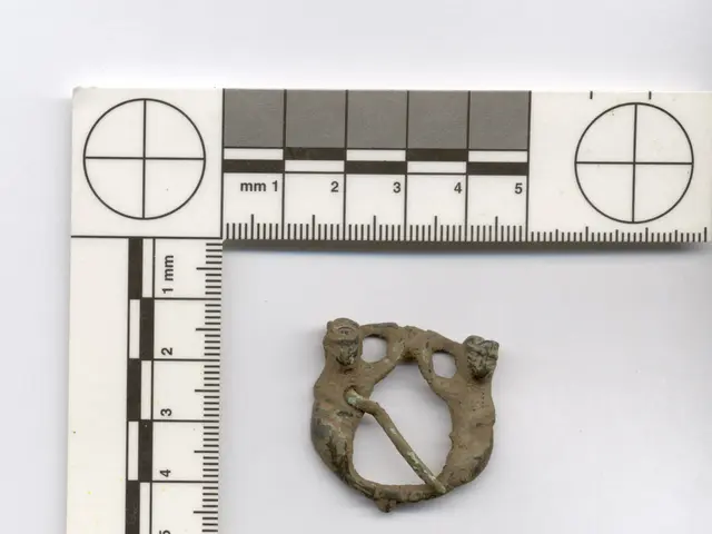 Strategies and Insights for Deciphering a Clock's Age: Antique Timepiece Assessment Guidelines