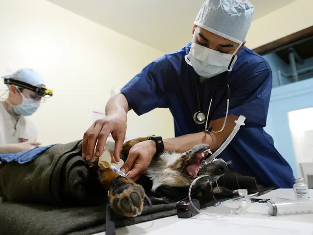 Avoiding inflammation during air travel: