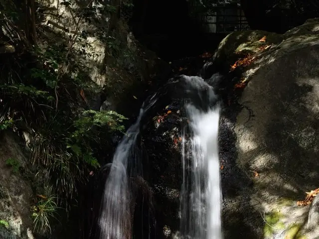 Enjoying the Charm in Chiba: A Rewarding Journey Through Stunning Scenery