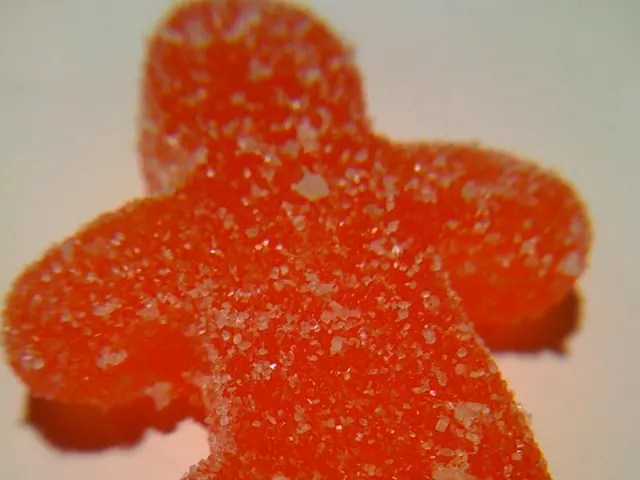 Sugar Impact on Brain Health: Exploring the Ambiguous Connection