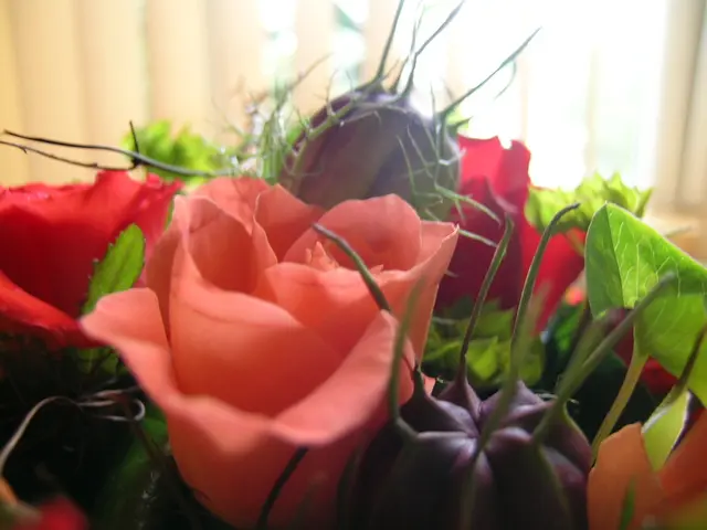 The Vineyard's Bountiful Peaches: Unveiling the Enchanting Allure of the Moselle Valley