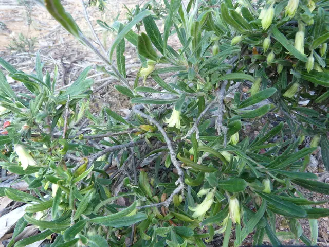 Arranging Multi-Tiered Flower Arrangements for Visual Appeal Enhancement