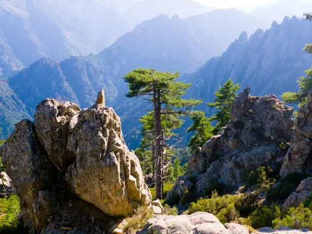 Discover Valley Forge National Historical Park, a historic site steeped in American Revolution...