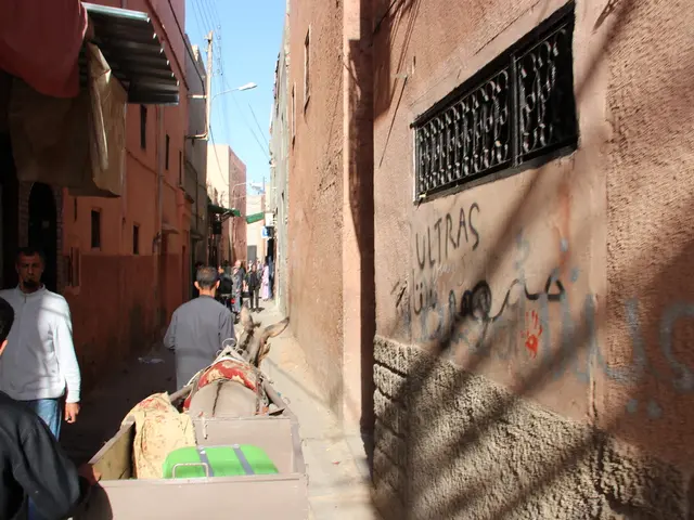 Recent Updates on NGTRadar: Latest Journeys and Explorations