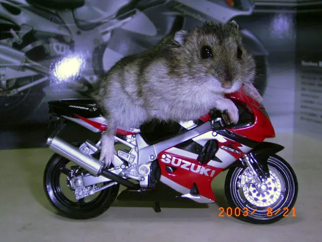 Brain Development Could Potentially Be Impacted by Persistent Pollutants