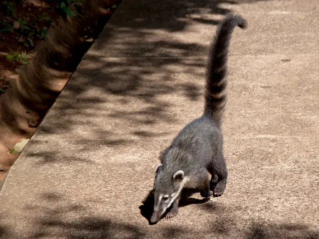 Alleviating Nausea: Top Edibles to Consider