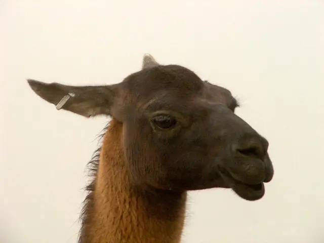 Visitor Loses Hearing in China