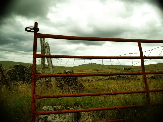 Popular Kid-Friendly Spots in Chemnitz