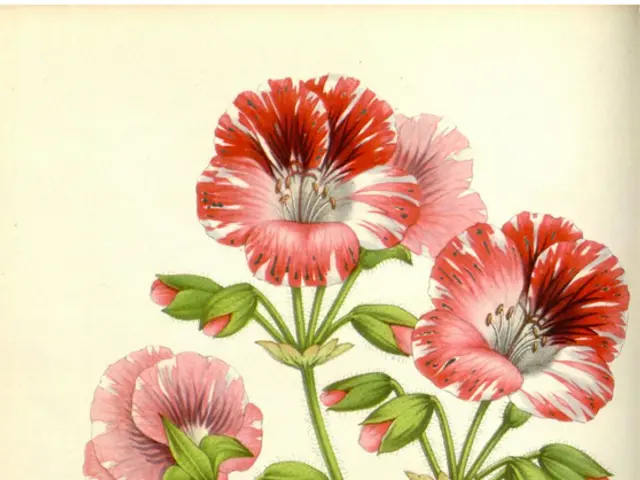 Understanding poetic mechanics