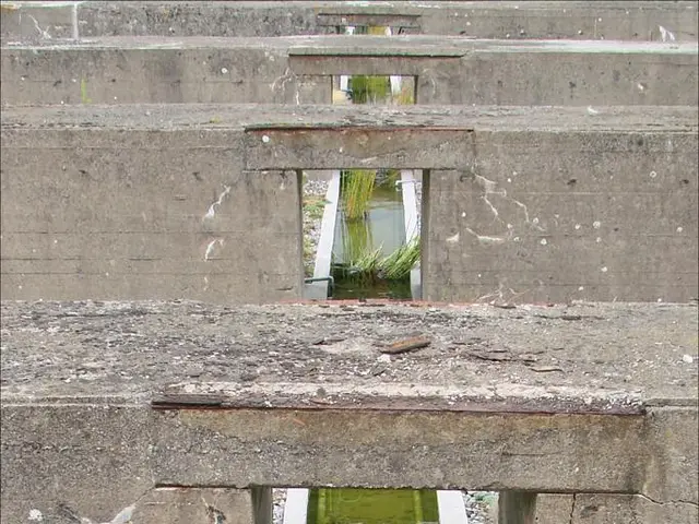 Underground Reservoirs of Valuable 'White Gold' - White Hydrogen