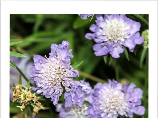 Selecting commonly used Swedish baby names