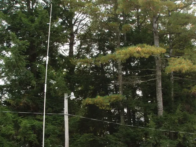 Navigating a Caravan for the First Time: Crucial Facts to Bear in Mind