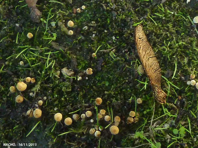 Unveil the Curative Benefits of Massage and Therapy