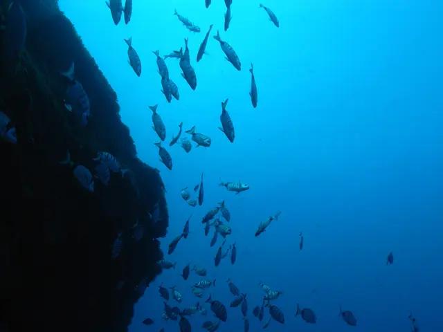 Mysterious Water Beast of Lagarfljót Lake, Iceland