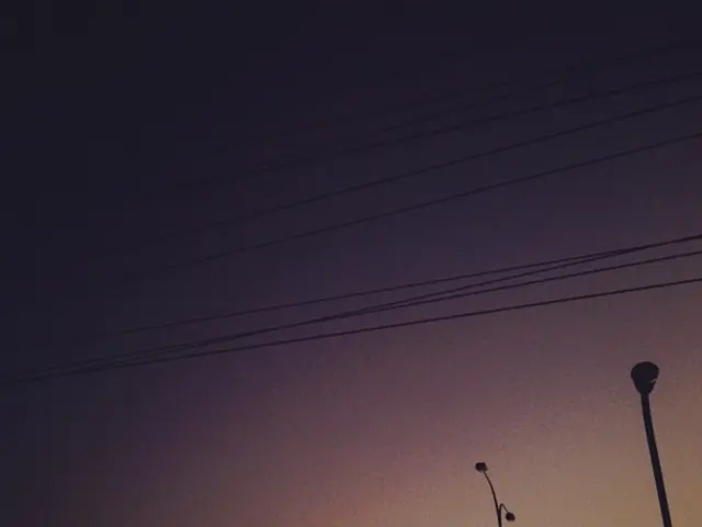 Bonsai Wiring Explanation: Techniques, Timing, and Best Bonsai Wires for Your Tree Maintenance