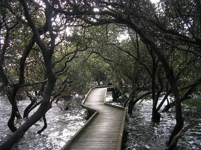 Waterfront Pier 58 Playground in Seattle: Overview for Parents on Amusement and Safety Features