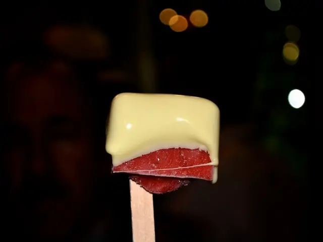 Exploring Amsterdam in a Day: A Comprehensive Guide