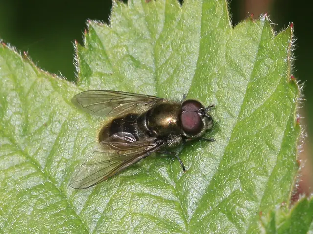 Direct flight service between Delhi and Manila to commences from October 1, announced the Ministry...