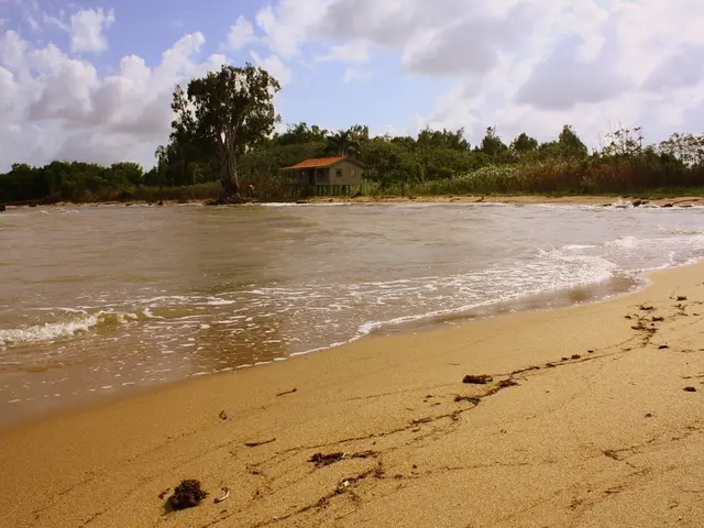 Uncovering the Ideal Beachfront Property in San Diego: A Guide