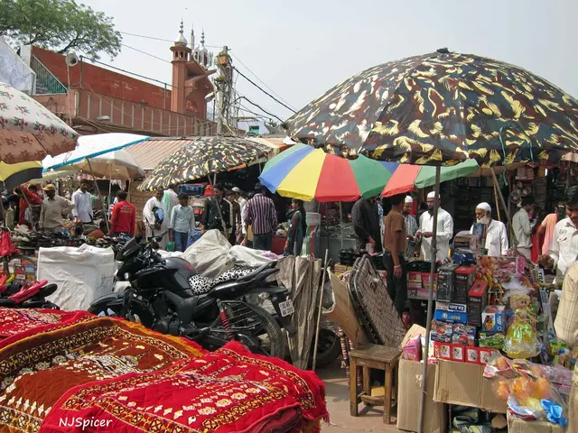 Detailed Overview of NW Bus Terminals Spread Throughout Saudi Arabia