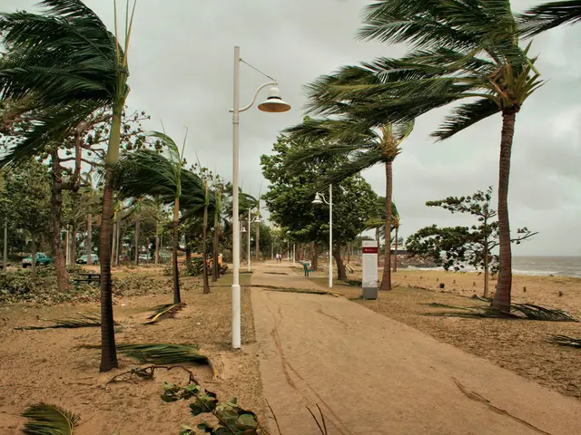Beachfront Driving Permitted at Chirihama, Japan's Unique Shoreline Where Vehicles Can Roll Along...