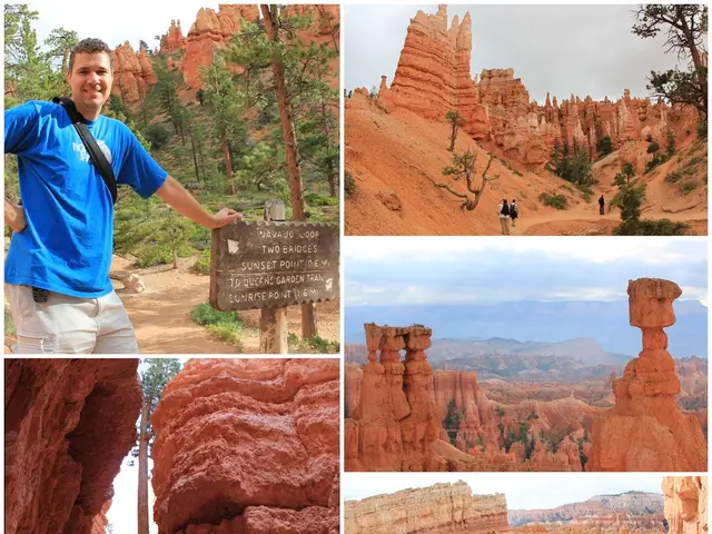 Stunning photos by Italian photographer Vittorio Sella depicting the Himalaya make their debut in...