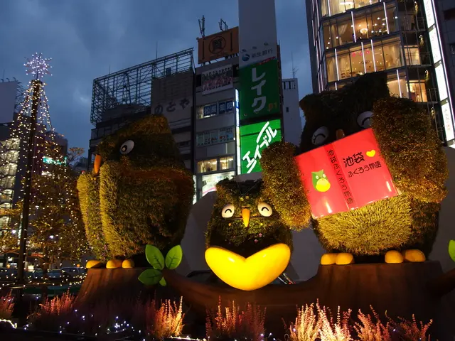 January 22nd, 2025: Our Platform's Update