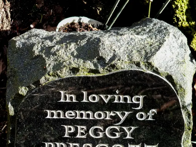 Top 12 Outdoor Crafting Materials that Inspire Astonishment through Artistic Ventures in Nature