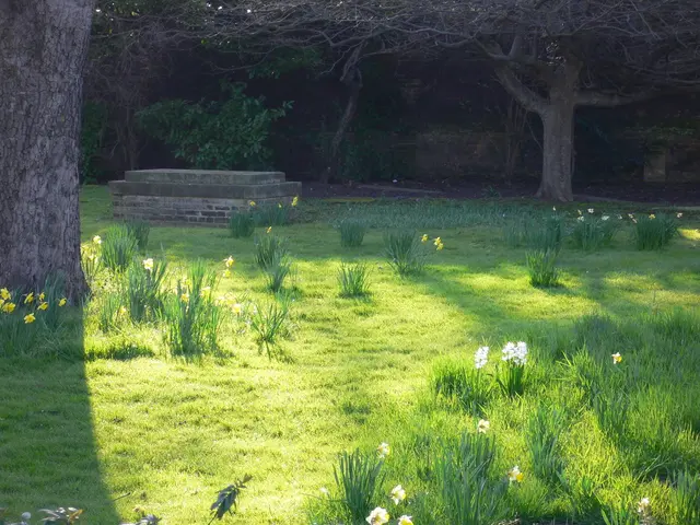 Delving into the Taste Sensations of Kent: England's Botanical Paradise