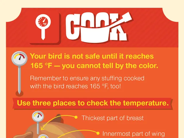 Detailed Insight into the Progression of a Chicken's Life Span!