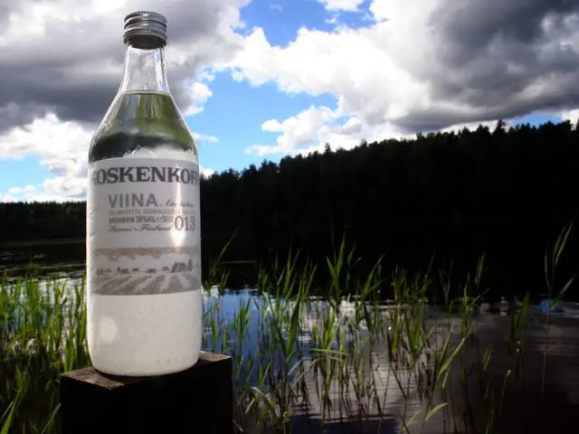 Unveiling the Flavors of Senegal in Africa