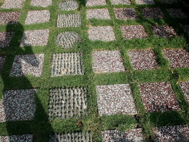 Dabbler's Perspective: Variation in Road Surfaces between Yakutsk and Irkutsk