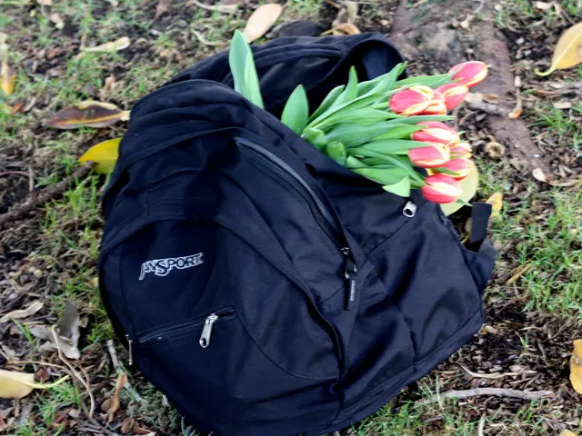 Practical Methods for Saving Soil in Local Community Garden Spaces