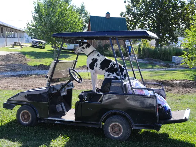 Camper enthusiasts endorse an outdoor accessory for ensuring canine safety and security during...