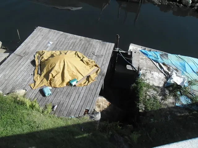 Kerala's Exciting Venture: Unveiling of Akkulam Glass Suspension Bridge on Onam Festival