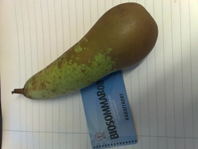 Lord Ganesha's 2025 Celebration: The Significance of Lauki (Bottle Gourd) as a Holy Offering to...