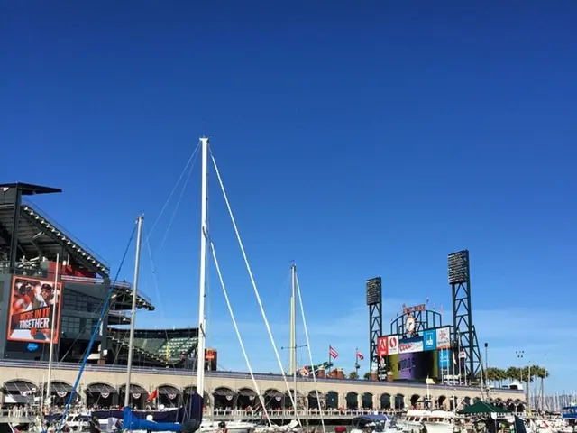 Uncontrolled Tourism in the Ocean: Accusations of Misinformation, Picture Contests, and Poor...