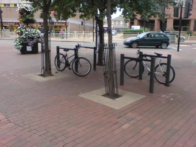 West Side Chronicles: Joyous Journeys