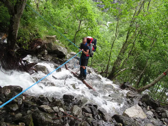 A disoriented individual found himself vanished in the expansive Sakha taiga, eventually emerging...