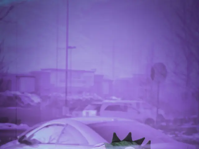 In this image I can see the mannequin with the dress. In the background I can see the vehicles,...