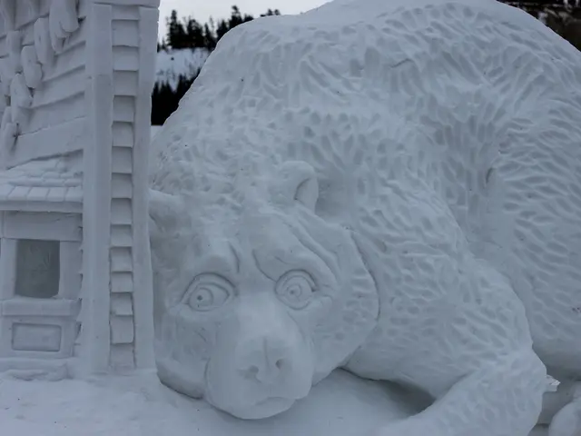 In this image, we can see snow art. Background there are few trees and sky.