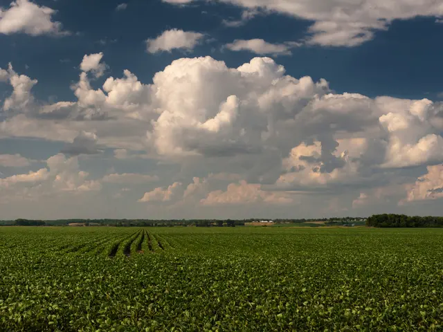 There is greenery in the foreground area of the image, it seems like houses, trees and the sky in...