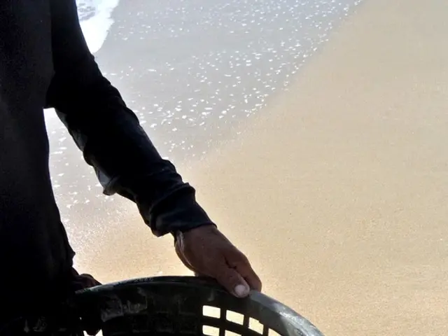 On the left side of the image we can see a man is holding a container which consists of fishes. In...